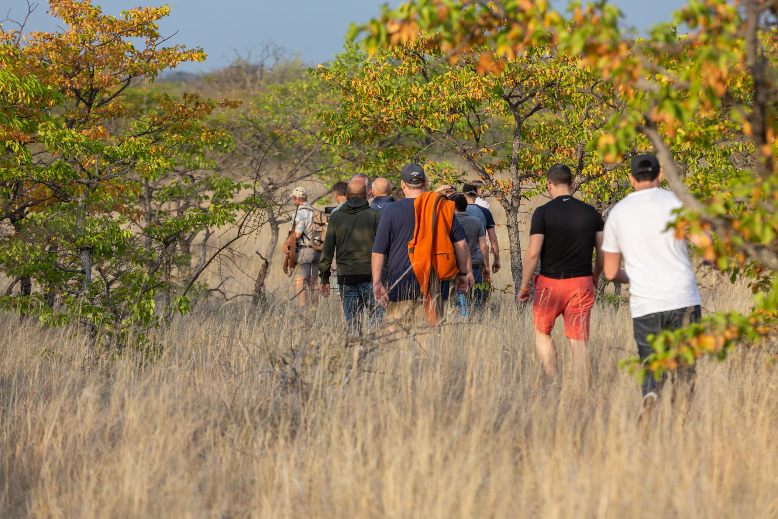 Mapesu Trail Safari