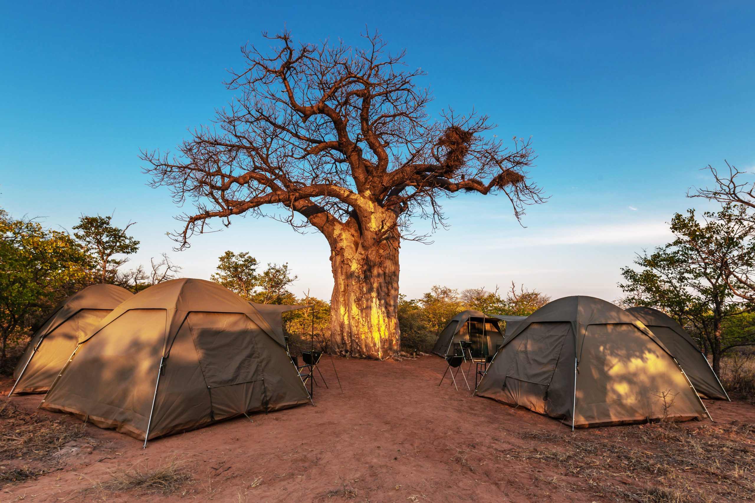 outdoor camping site