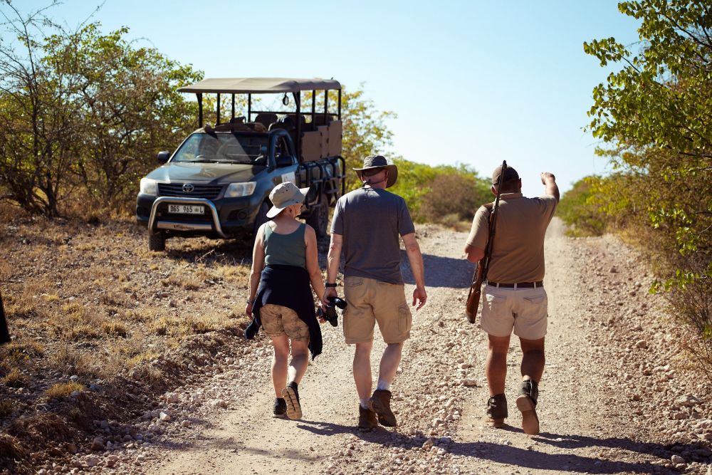 conservation and Animal Tracking, safari walk